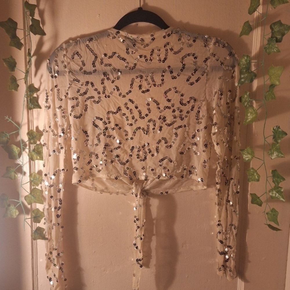 Sequin Tie-Front Sheer Creme Crop Top - Picture 3 of 12